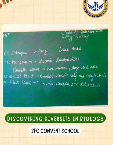 WhatsApp Image 2025 12 11 at 15 49